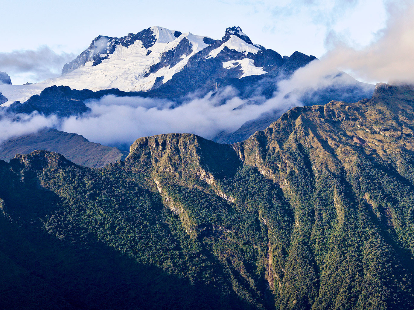 Kiunalla, una comunidad unida con los bosques andinos