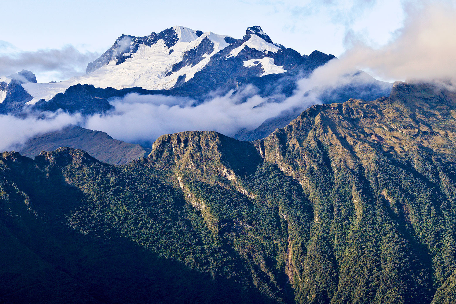 Kiunalla, una comunidad unida con los bosques andinos